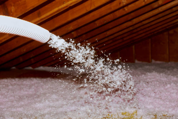 Best Specialized Insulation Services in Gosnell, AR