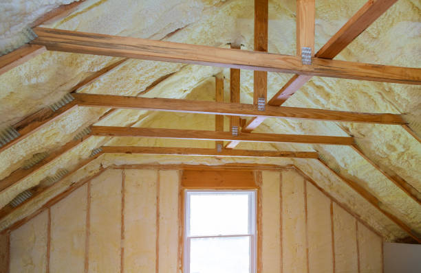 Best Eco-Friendly Insulation in Gosnell, AR