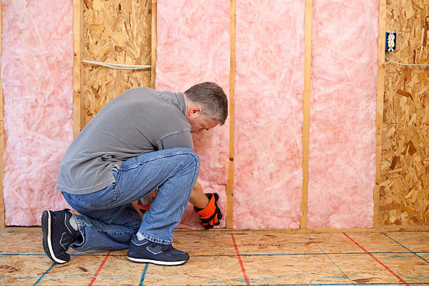 Professional Insulation Contractor in Gosnell, AR